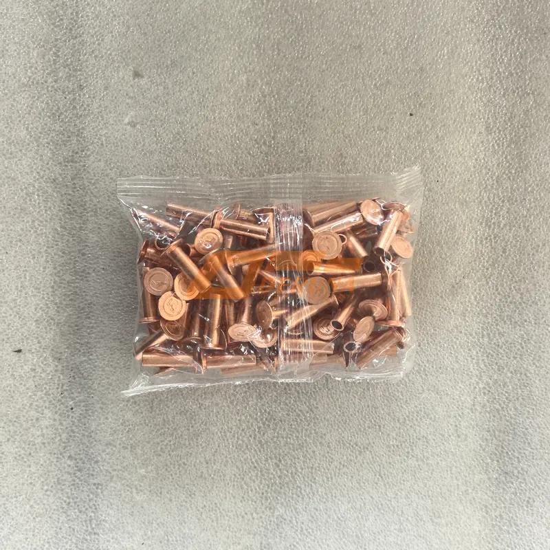 3502408BA2T Rivets for friction lining front
